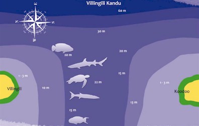 Villingili Kandu